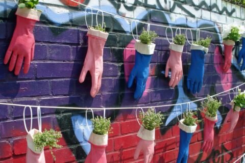 Urban Gardening